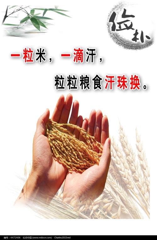 名古屋工科大学 Computer Science Degree Certificate